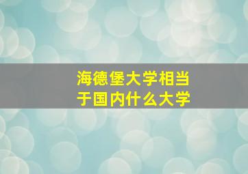 海德堡大学相当于国内什么大学