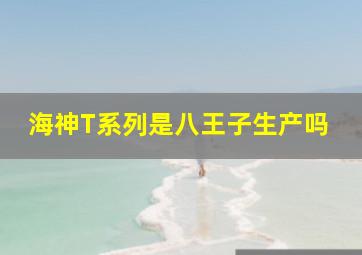 海神T系列是八王子生产吗