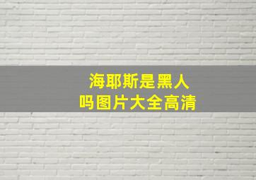 海耶斯是黑人吗图片大全高清