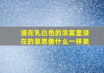 浸在乳白色的浓雾里浸在的意思像什么一样美