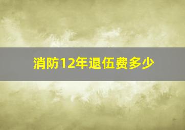 消防12年退伍费多少