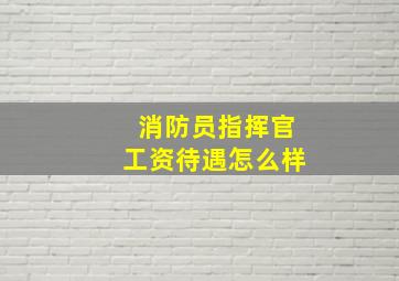 消防员指挥官工资待遇怎么样