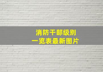 消防干部级别一览表最新图片