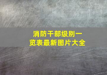 消防干部级别一览表最新图片大全