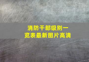 消防干部级别一览表最新图片高清