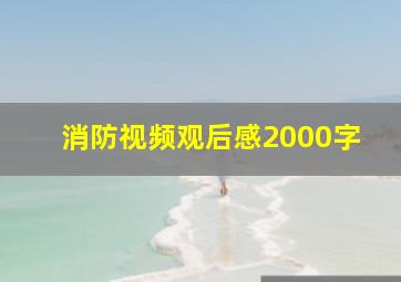 消防视频观后感2000字