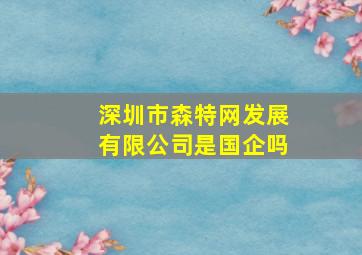 深圳市森特网发展有限公司是国企吗