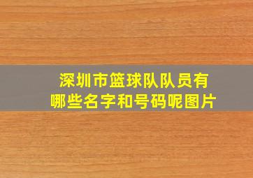 深圳市篮球队队员有哪些名字和号码呢图片