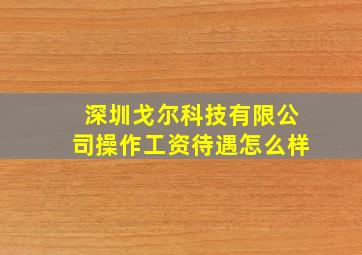 深圳戈尔科技有限公司操作工资待遇怎么样