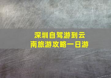 深圳自驾游到云南旅游攻略一日游