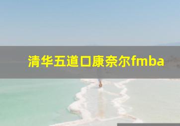 清华五道口康奈尔fmba