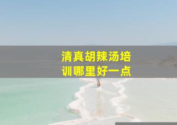 清真胡辣汤培训哪里好一点