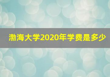 渤海大学2020年学费是多少