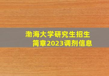 渤海大学研究生招生简章2023调剂信息