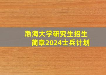 渤海大学研究生招生简章2024士兵计划