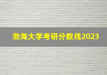 渤海大学考研分数线2023