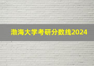 渤海大学考研分数线2024