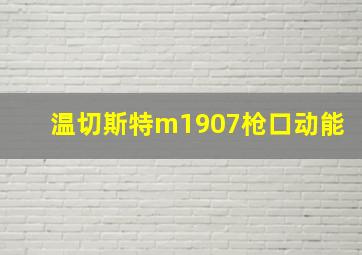 温切斯特m1907枪口动能