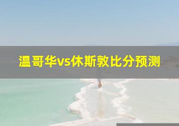 温哥华vs休斯敦比分预测