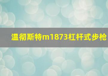 温彻斯特m1873杠杆式步枪