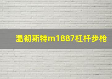 温彻斯特m1887杠杆步枪