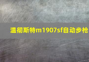 温彻斯特m1907sf自动步枪