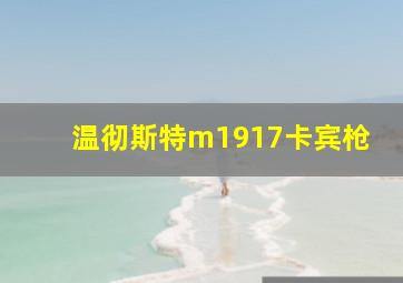 温彻斯特m1917卡宾枪