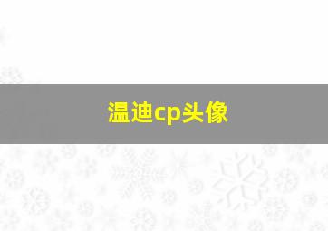 温迪cp头像