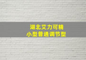 湖北艾力可精小型普通调节型