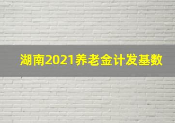 湖南2021养老金计发基数