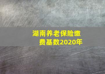 湖南养老保险缴费基数2020年