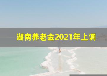 湖南养老金2021年上调