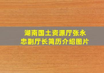 湖南国土资源厅张永忠副厅长简历介绍图片