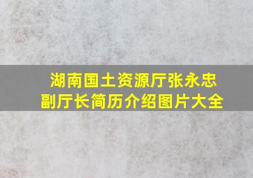 湖南国土资源厅张永忠副厅长简历介绍图片大全