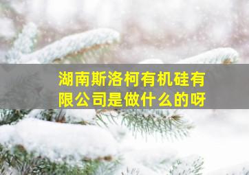 湖南斯洛柯有机硅有限公司是做什么的呀