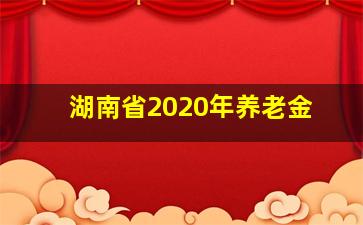 湖南省2020年养老金