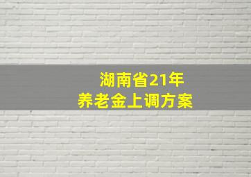 湖南省21年养老金上调方案