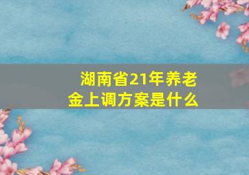 湖南省21年养老金上调方案是什么