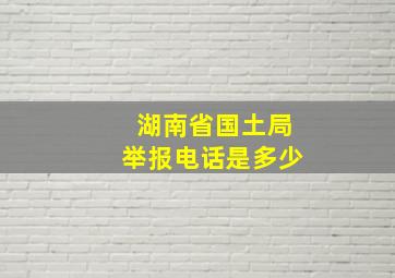 湖南省国土局举报电话是多少