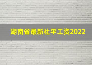 湖南省最新社平工资2022