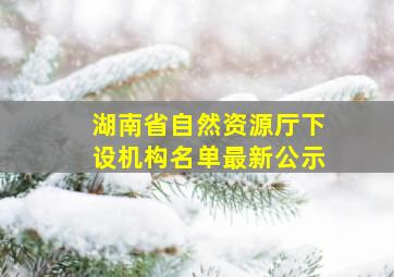 湖南省自然资源厅下设机构名单最新公示