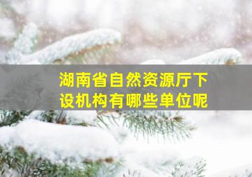 湖南省自然资源厅下设机构有哪些单位呢