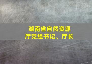 湖南省自然资源厅党组书记、厅长