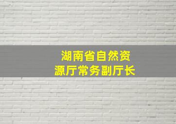 湖南省自然资源厅常务副厅长