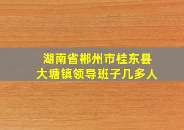 湖南省郴州市桂东县大塘镇领导班子几多人