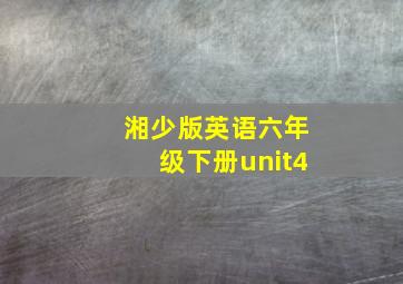 湘少版英语六年级下册unit4