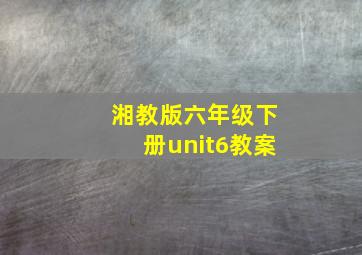 湘教版六年级下册unit6教案