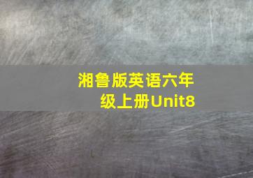 湘鲁版英语六年级上册Unit8