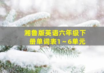 湘鲁版英语六年级下册单词表1～6单元