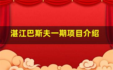 湛江巴斯夫一期项目介绍